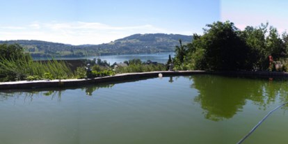 Reisemobilstellplatz - Umgebungsschwerpunkt: See - Schweiz - Schwimmteich und Blick auf Hallwilersee
 - Hallwilerseeausblick