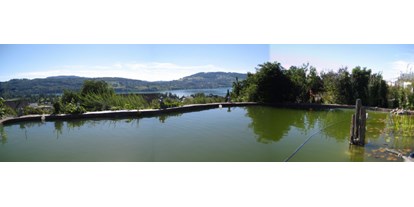 Reisemobilstellplatz - Umgebungsschwerpunkt: See - Schweiz - Blick vom Stellplatz über Teich und See - Hallwilerseeausblick