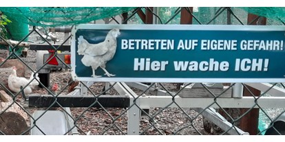 Reisemobilstellplatz - Hunde erlaubt: Hunde teilweise - Stellplatz am Lucknerpark in Dresden mit Schaf und Huhn