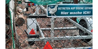 Motorhome parking space - Hunde erlaubt: Hunde teilweise - Pirna - Stellplatz am Lucknerpark in Dresden mit Schaf und Huhn