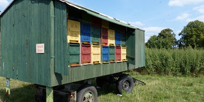 Reisemobilstellplatz - Duschen - Schopsdorf - Unser Bienenwagen mit zahlreichen Bienenvölkern. - Landvergnügen-Stellplatz Ökohof Fläming