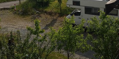 Motorhome parking space - WLAN: nur um die Rezeption vorhanden - Ostbayern - Pension Reiner