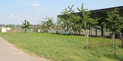 Reisemobilstellplatz - Wohnwagen erlaubt - Essingen (Landkreis Südliche Weinstraße) - Bioland Wein- und Sektgut Marienfelderhof