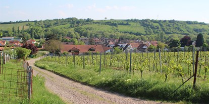 Reisemobilstellplatz - Stromanschluss - Billigheim-Ingenheim - Bioland Wein- und Sektgut Marienfelderhof