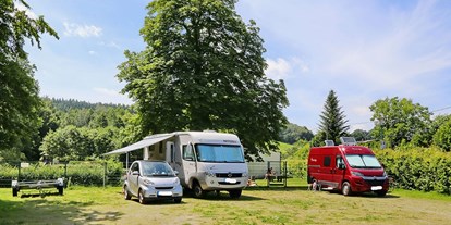 Reisemobilstellplatz - Wachau - Waldbad Polenz