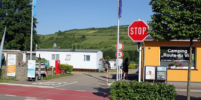Reisemobilstellplatz - Art des Stellplatz: bei Weingut - Mosel / Müllerthal / Grevenmacher - Einfahrt zum Camping - Camping route du vin Grevenmacher