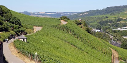 Reisemobilstellplatz - Umgebungsschwerpunkt: am Land - Luxemburg - Wandermöglichkeiten  - Camping route du vin Grevenmacher