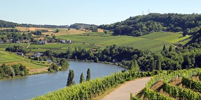 Motorhome parking space - WLAN: am ganzen Platz vorhanden - La Moselle - Wandermöglichkeiten - Camping route du vin Grevenmacher