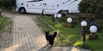 Reisemobilstellplatz - Hunde erlaubt: Hunde erlaubt - Ostthüringen - Womo Stellplatz Friesenhof Wieratal