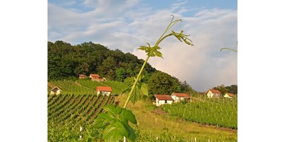 Reisemobilstellplatz - Gerolzhofen - Naturerlebnis zwischen Wald, Wein und Wiesen
