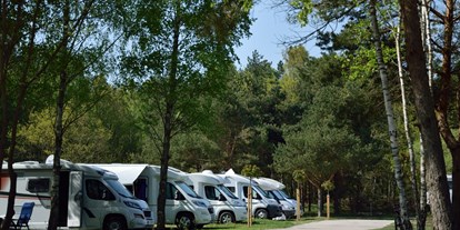 Motorhome parking space - Mecklenburg-Western Pomerania - Campingplatz Wohnmobil-Oase Insel Rügen