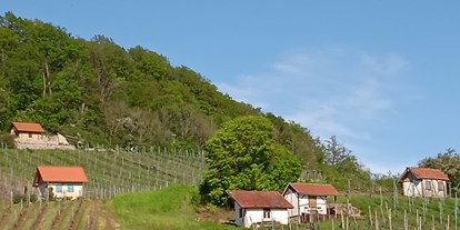 Reisemobilstellplatz - Sulzheim (Landkreis Schweinfurt) - Himmlische Träume mit Weinpanorama