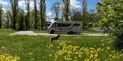 Reisemobilstellplatz - Hunde erlaubt: Hunde erlaubt - Schwielowsee - Stellplatz am Templiner See – Kongresshotel Potsdam