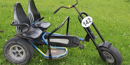 Reisemobilstellplatz - Region Allgäu - Kinder lieben dieses Go-Kart! - Erlebnisbauernhof Reiter