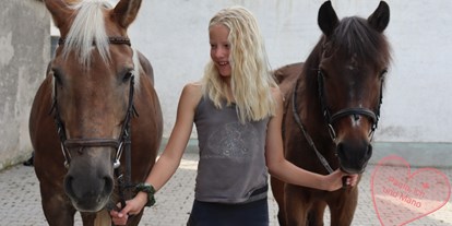Reisemobilstellplatz - Duschen - Marktoberdorf - Auf diesen Pferden kann man nach Absprache reiten.  - Erlebnisbauernhof Reiter