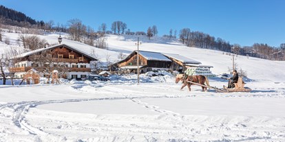 Reisemobilstellplatz - Skilift - Salzburg - Wintercamping ist bei uns auch möglich. - Wohnmobilstellplatz Stegerbauer