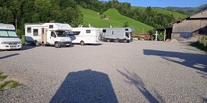 Reisemobilstellplatz - Wohnwagen erlaubt - Österreich - Der Stellplatz - Wohnmobilstellplatz Stegerbauer