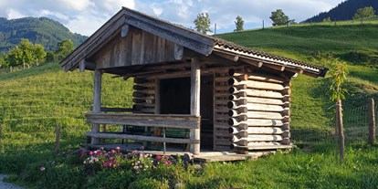 Reisemobilstellplatz - Viehhofen - Hütte, ideal für Camper mit wenigen Stühlen - Wohnmobilstellplatz Stegerbauer