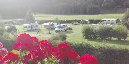 Reisemobilstellplatz - Wohnwagen erlaubt - Ferienbauernhof Bräuhauser