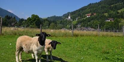 Reisemobilstellplatz - Umgebungsschwerpunkt: Fluss - Steiermark - Ferienbauernhof Bräuhauser