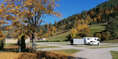 Motorhome parking space - Bademöglichkeit für Hunde - Schwarzwald - Wohnmobilstellplatz - Natur-Camp Tannenfels