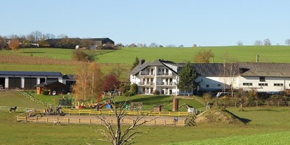 Reisemobilstellplatz - Spielplatz - Rheinland-Pfalz - Hofansicht - Michelshof