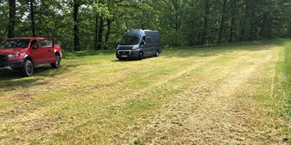 Reisemobilstellplatz - Wohnwagen erlaubt - Oberpfalz - Stellplatz am Naturschutzgebiet Waldnaabtal - Hammermühle