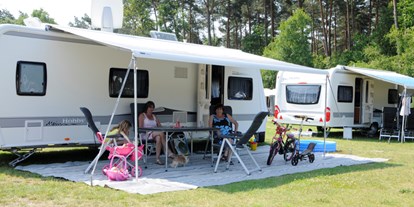 Motorhome parking space - Bademöglichkeit für Hunde - Belgium - Platze - Camping Zavelbos