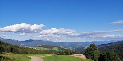 Reisemobilstellplatz - Umgebungsschwerpunkt: am Land - Steiermark - Rinner Almcamp