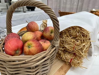 Reisemobilstellplatz - Umgebungsschwerpunkt: am Land - Schweiz - Der Thurgauer Apfel darf in Mostindien nicht fehlen - Hotel Restaurant Seemöwe 