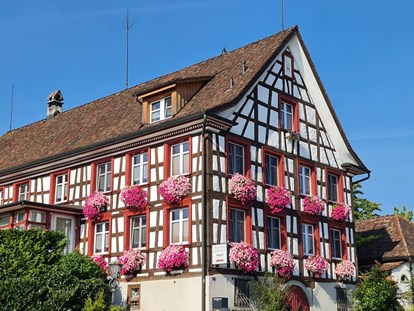 Reisemobilstellplatz - Umgebungsschwerpunkt: am Land - Schweiz - Historische Residenz Lindeneck aus dem Jahre 1811 - Hotel Restaurant Seemöwe 