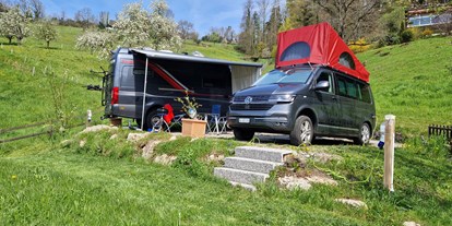 Reisemobilstellplatz - Grauwasserentsorgung - Schweiz - Oase des Glücks max. 2 Stellplätze - Weggis am Vierwaldstättersee