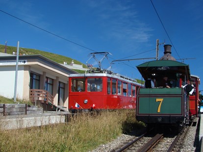 Reisemobilstellplatz - WLAN: teilweise vorhanden - Lauerz - Rigi Kulm mit Dampfbahn Nr. 7 - Weggis am Vierwaldstättersee
