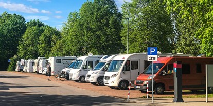 Motorhome parking space - Umgebungsschwerpunkt: Fluss - Bavaria - Reisemobilstellplatz Heinrichsdamm