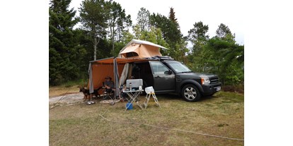 Reisemobilstellplatz - camping.info Buchung - Nordjütland - Wir heißen alle Wohnmobile willkommen. Groß wie klein. - Tranum Klit Camping