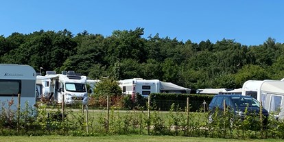 Motorhome parking space - Wohnwagen erlaubt - Denmark - DCU-Camping Rågeleje Strand