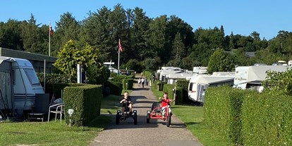 Reisemobilstellplatz - Spielplatz - Kvistgård - Camping place - DCU-Camping Rågeleje Strand