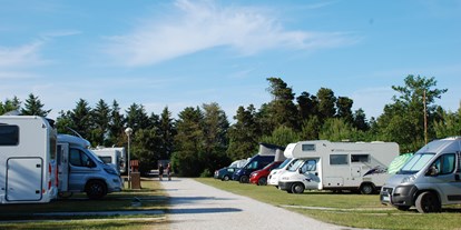 Motorhome parking space - Bademöglichkeit für Hunde - North Jutland - Hanstholm Camping