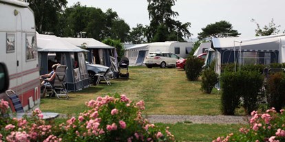 Motorhome parking space - WLAN: am ganzen Platz vorhanden - Bornholm - Campsite - Hasle Camping