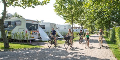 Motorhome parking space - Scharendijke - Familie camping De Molenhoek