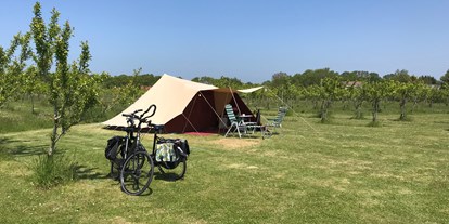 Reisemobilstellplatz - Stromanschluss - Niederlande - Mini-camping Victoria