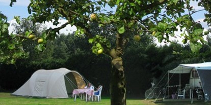 Reisemobilstellplatz - Limburg - Camping de Rozenhorst