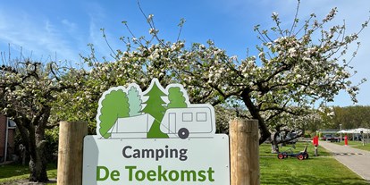 Reisemobilstellplatz - WLAN: am ganzen Platz vorhanden - Rockanje - Camping De Toekomst Renesse