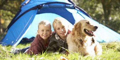Reisemobilstellplatz - Hunde erlaubt: Hunde erlaubt - Friesland - Campercamping 't Seleantsje Molkwerum
