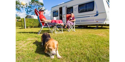 Reisemobilstellplatz - Hunde erlaubt: Hunde teilweise - Wemeldinge - Mini-camping Klaverwijk