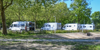 Reisemobilstellplatz - öffentliche Verkehrsmittel - Gelderland - Camperplaats Zwembad Meekenesch