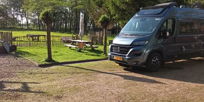 Reisemobilstellplatz - WLAN: nur um die Rezeption vorhanden - Friesland - De Mersken
