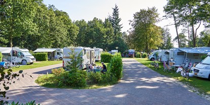 Reisemobilstellplatz - Bademöglichkeit für Hunde - Veluwe - Vakantiepark Het Lierderholt