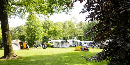 Reisemobilstellplatz - Swimmingpool - Veluwe - Campingplätze im Fliert - Camping Recreatiepark De Lucht