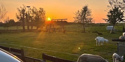 Motorhome parking space - Meppel - Genießen Sie wunderschöne Sonnenuntergänge - SVR-Camping Pieters Farm